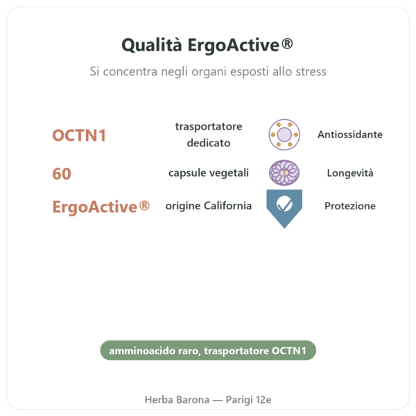 Ergotioneina pura ErgoActive® – Dynveo – 60 capsule benefici e dati chiave Paris Herba Barona