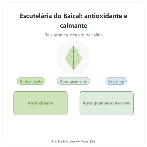 Escutelária Baicalensis 500mg – Dynveo – 60 cápsulas apresentação Paris Herba Barona