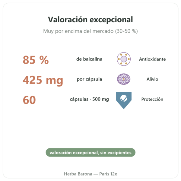 Escutelaria Baicalensis 500mg – Dynveo – 60 cápsulas beneficios y datos clave Paris Herba Barona