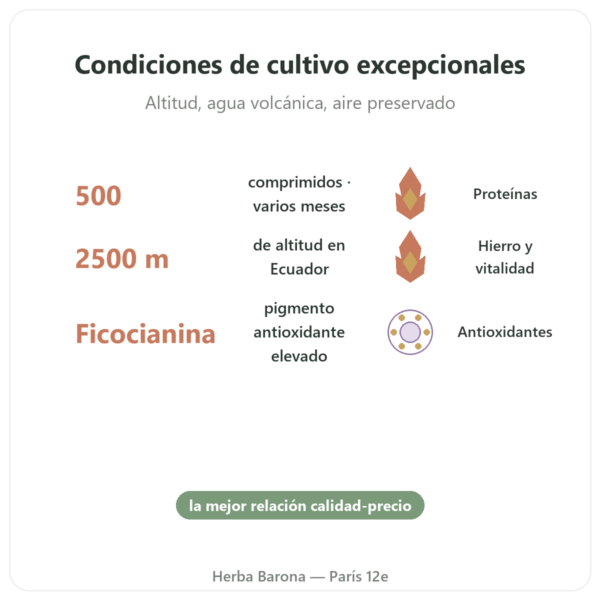 Espirulina Alga Azul de los Andes – 500 Comprimidos beneficios y datos clave Paris Herba Barona