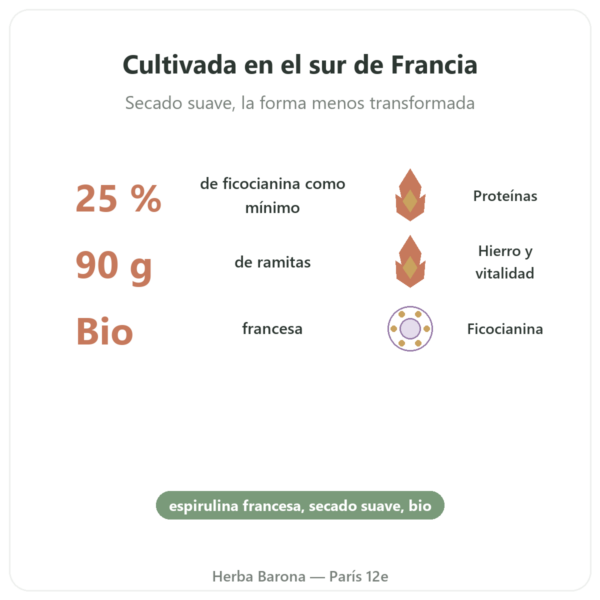 Espirulina Francesa BIO – Dynveo – Briznas 90 g beneficios y datos clave Paris Herba Barona