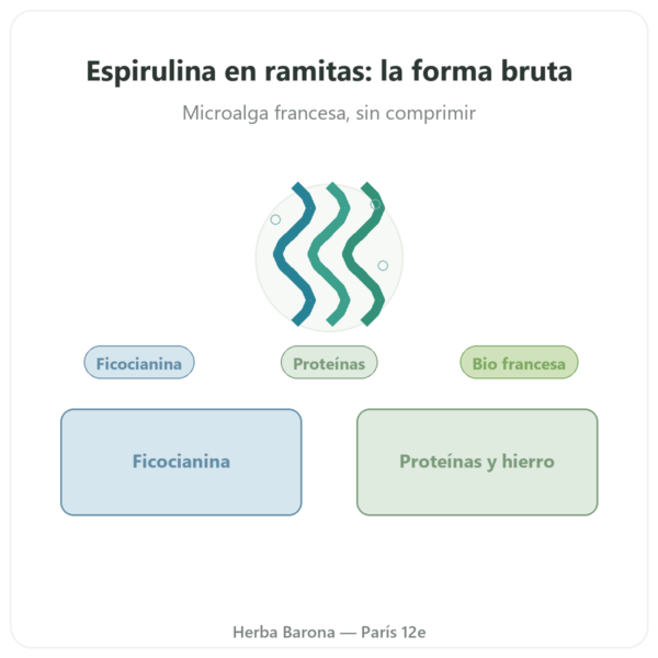 Espirulina Francesa BIO – Dynveo – Briznas 90 g presentación Paris Herba Barona