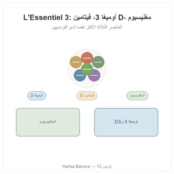 L'essentiel 3 – أوميغا-3 فيتامين D مغنيزيوم – Dynveo – 60 كبسولة – كورة شهر واحد عرض المنتج Paris Herba Barona