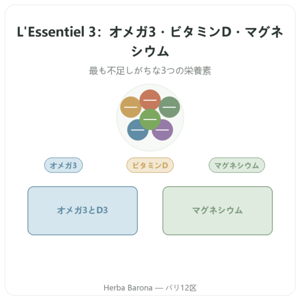 L'Essentiel 3 – オメガ3・ビタミンD・マグネシウム – Dynveo – 60カプセル – 1か月分 presentation Paris Herba Barona
