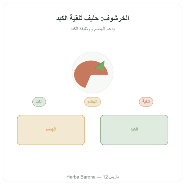 مستخلص خرشوف 500 ملغ (5% سينارين) 60 كبسولة – Dynveo عرض المنتج Paris Herba Barona