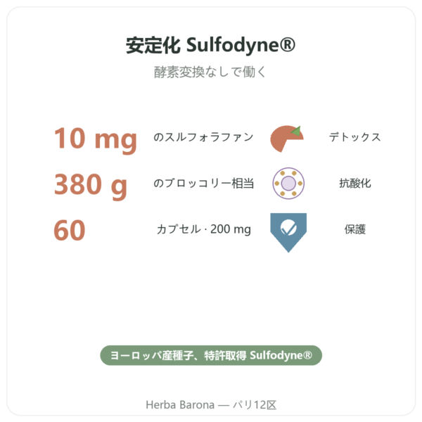 スルフォラファン – ブロッコリー抽出物 – Dynveo – 200 mg benefits and key facts Paris Herba Barona