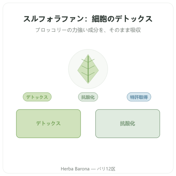 スルフォラファン – ブロッコリー抽出物 – Dynveo – 200 mg presentation Paris Herba Barona
