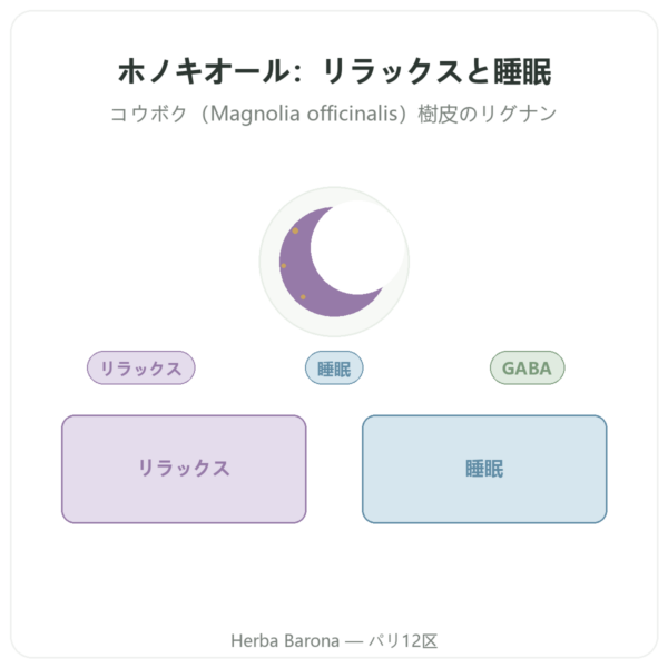 ホノキオール 高純度 – 300mg – Magnolia Bark Extract – 60カプセル presentation Paris Herba Barona
