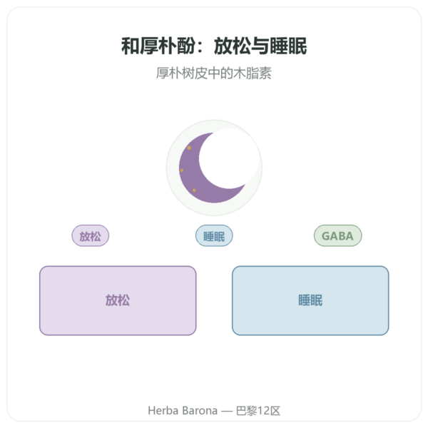 纯和厚朴酚 – 300mg – 厚朴树皮提取物 – 60 粒胶囊 产品展示 Paris Herba Barona