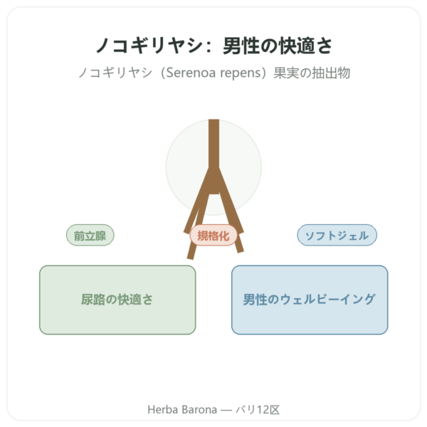 Saw Palmetto Extract 320mg Now Foods 90ソフトジェル – ノコギリヤシ presentation Paris Herba Barona