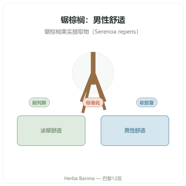 Saw Palmetto Extract 320mg Now Foods 90 粒软胶囊 - 锯棕榈 产品展示 Paris Herba Barona