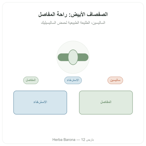 مستخلص لحاء الصفصاف الأبيض – Dynveo – 60 كبسولة عرض المنتج Paris Herba Barona