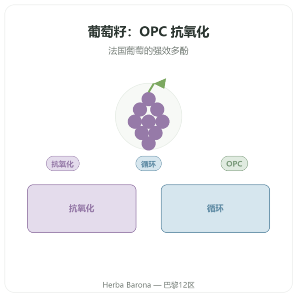 葡萄籽提取物 100 mg 60粒 DYNVEO 产品展示 Paris Herba Barona