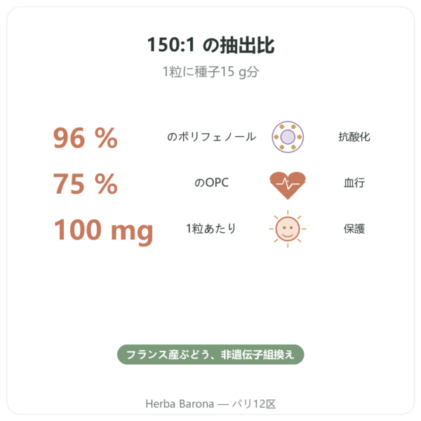 DYNVEO ブドウ種子エキス 150 mg 60カプセル benefits and key facts Paris Herba Barona