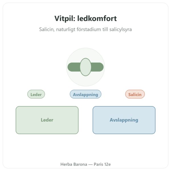 Extrakt av vitpilsbark – Dynveo – 60 kapslar presentation Paris Herba Barona