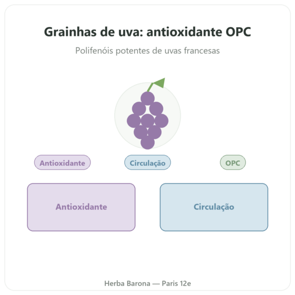 Extrato de Vinaccioli 100 mg 60 cápsulas DYNVEO apresentação Paris Herba Barona