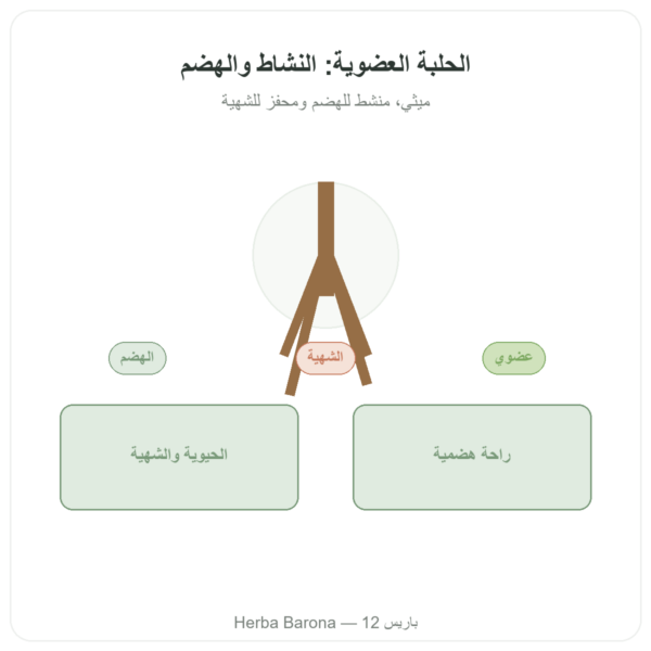 حلبة عضوية – Ayur-vana – 60 كبسولة عرض المنتج Paris Herba Barona