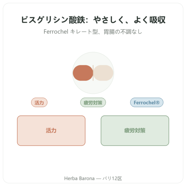 Fer Bisglycinate – dynveo – 60カプセル presentation Paris Herba Barona