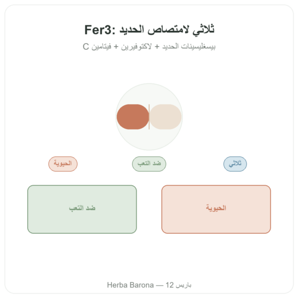 Fer3 – Dynveo – مركّب الحديد وفيتامين C 60 كبسولة عرض المنتج Paris Herba Barona