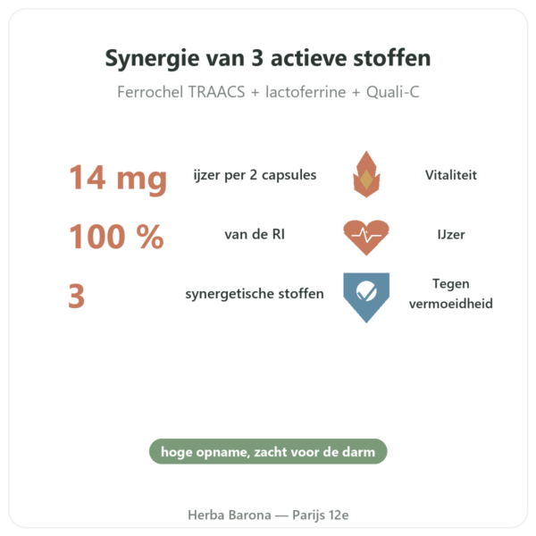 Fer3 – Dynveo – Complex IJzer en Vitamine C – 60 capsules voordelen en kerngegevens Paris Herba Barona