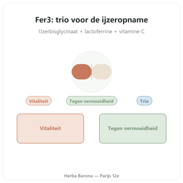 Fer3 – Dynveo – Complex IJzer en Vitamine C – 60 capsules presentatie Paris Herba Barona
