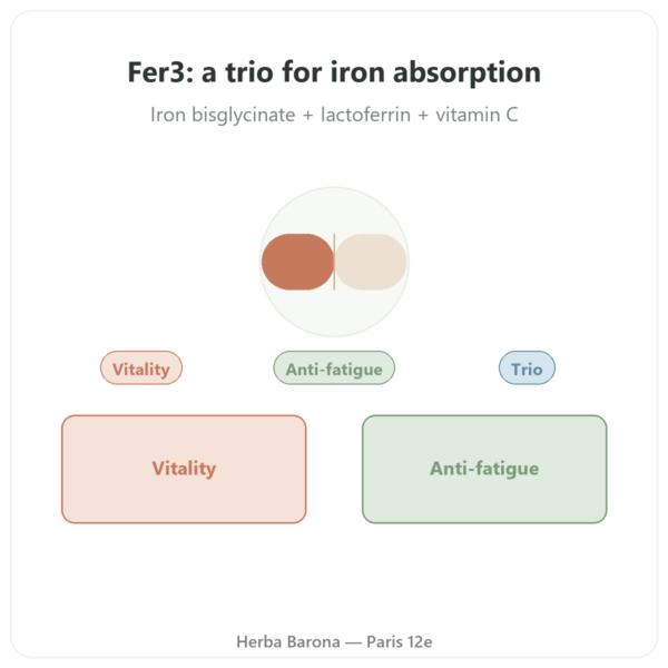 Fer3 - Dynveo - Iron & Vitamin C Complex - 60 capsules presentation Paris Herba Barona