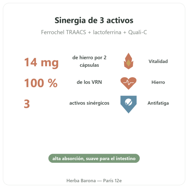 Fer3 – Dynveo – Complejo Hierro y Vitamina C – 60 cápsulas beneficios y datos clave Paris Herba Barona