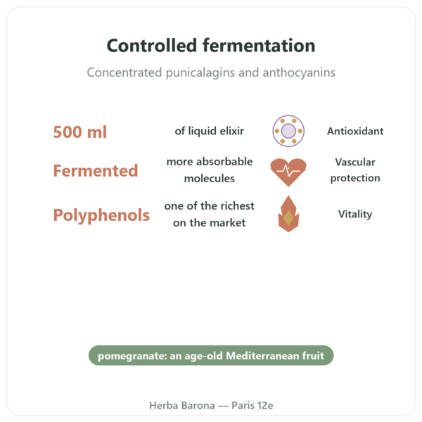 Fermented Pomegranate Elixir – Dr Jacob's – 500ml – Naturamedicatrix benefits and key facts Paris Herba Barona
