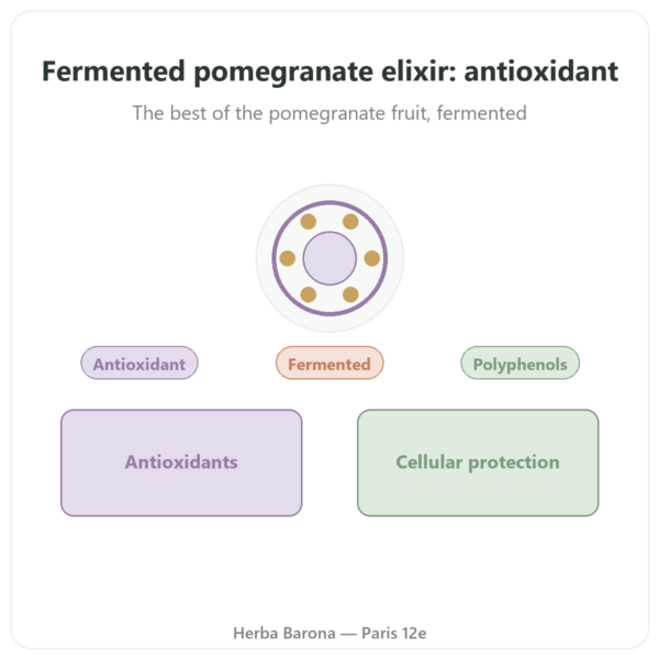 Fermented Pomegranate Elixir – Dr Jacob's – 500ml – Naturamedicatrix presentation Paris Herba Barona