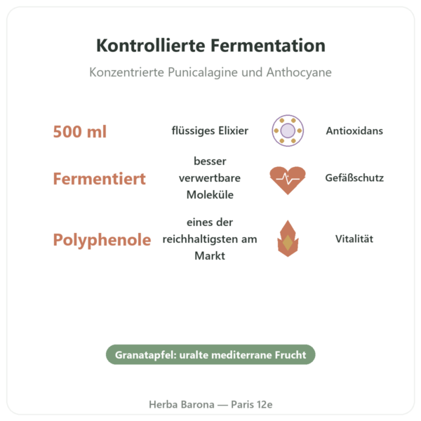 Fermentiertes Granatapfel-Elixier Dr. Jacob's – 500 ml – Naturamedicatrix Vorteile und Fakten Paris Herba Barona