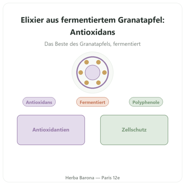 Fermentiertes Granatapfel-Elixier Dr. Jacob's – 500 ml – Naturamedicatrix Vorstellung Paris Herba Barona