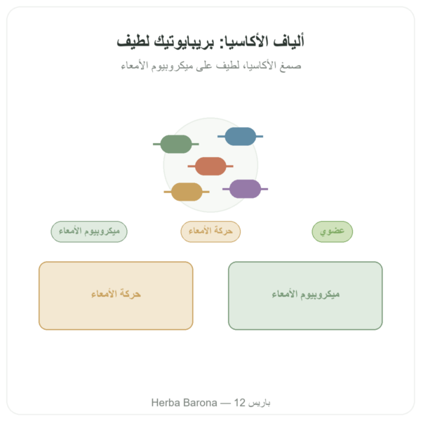 ألياف الأكاسيا عضوية Dynveo مسحوق 200 غ عرض المنتج Paris Herba Barona