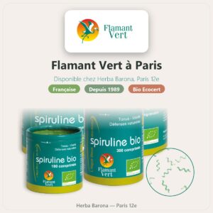 Flamant Vert