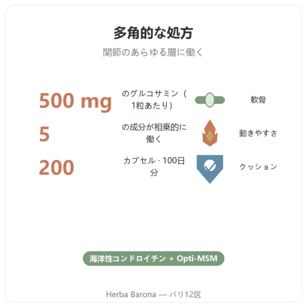 Flexine – Form’Axe – 200カプセル – 関節 benefits and key facts Paris Herba Barona