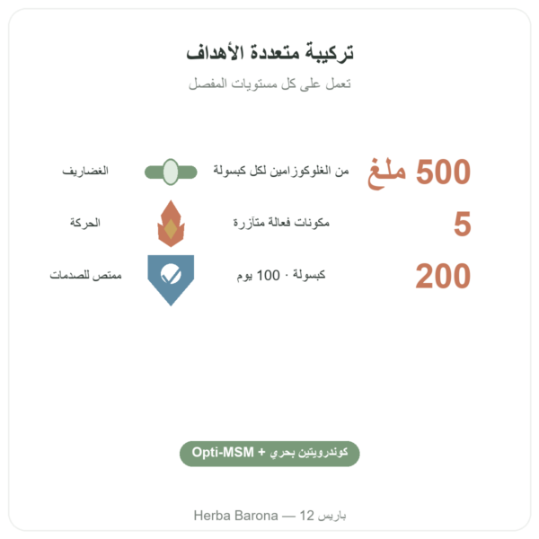 Flexine – Form'Axe – 200 كبسولة – المفاصل الفوائد والمعطيات الرئيسية Paris Herba Barona
