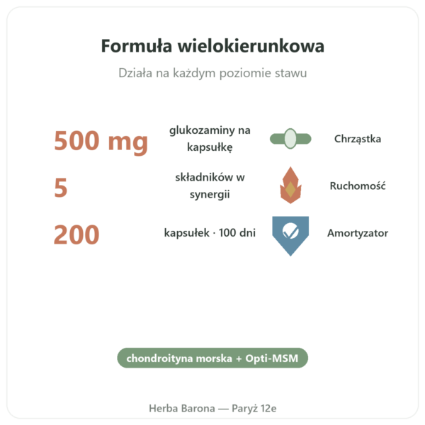 Flexine – Form'Axe – 200 kapsułek – Stawy korzyści i najważniejsze fakty Paris Herba Barona