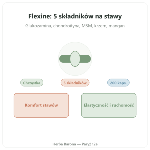 Flexine – Form'Axe – 200 kapsułek – Stawy prezentacja Paris Herba Barona
