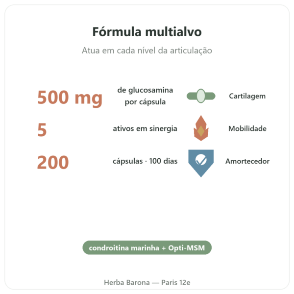 Flexine – Form'Axe – 200 cápsulas – Articulações benefícios e dados principais Paris Herba Barona