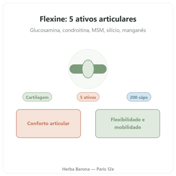 Flexine – Form'Axe – 200 cápsulas – Articulações apresentação Paris Herba Barona