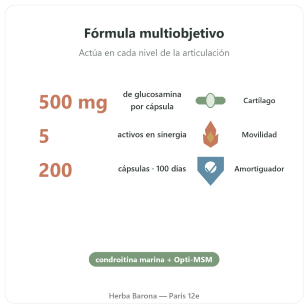 Flexine – Form'Axe – 200 Cápsulas – Articulaciones beneficios y datos clave Paris Herba Barona