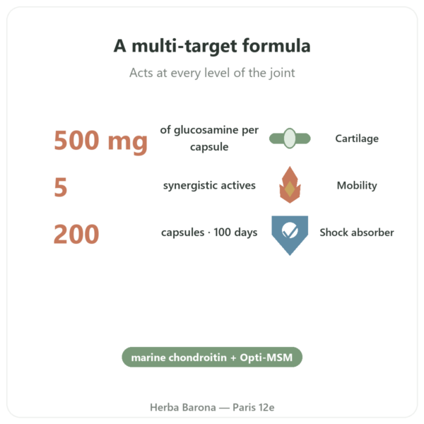 Flexine – Form'Axe – 200 capsules – Joints benefits and key facts Paris Herba Barona
