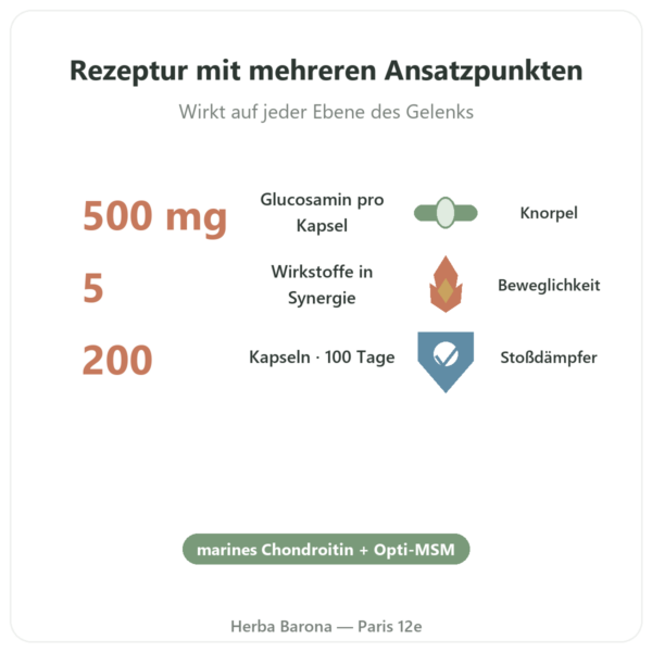 Flexine – Form'Axe – 200 Kapseln – Gelenke Vorteile und Fakten Paris Herba Barona