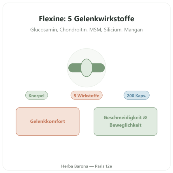 Flexine – Form'Axe – 200 Kapseln – Gelenke Vorstellung Paris Herba Barona