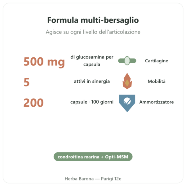Flexine – Form'Axe – 200 capsule – Articolazioni benefici e dati chiave Paris Herba Barona