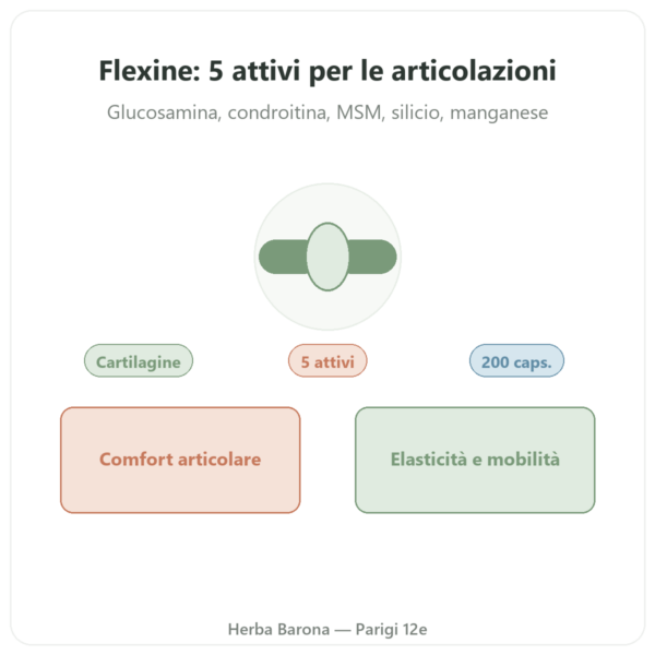 Flexine – Form'Axe – 200 capsule – Articolazioni presentazione Paris Herba Barona