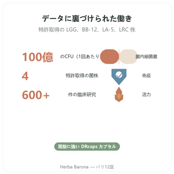 Probio4 – Dynveo – 28カプセル benefits and key facts Paris Herba Barona