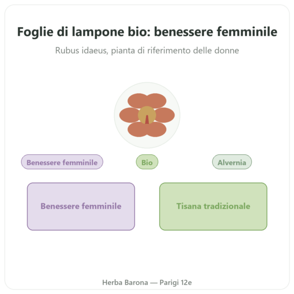 Foglie di Lampone Bio – Les Jardins de Gaïa – 50 g presentazione Paris Herba Barona