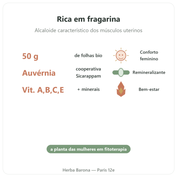 Folhas de Framboeseira Bio – Les Jardins de Gaïa – 50 g benefícios e dados principais Paris Herba Barona