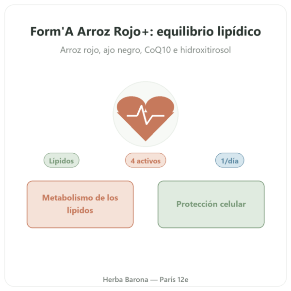 Form'A Arroz Rojo+ Distriform' – 60 Cápsulas – Ajo Negro, Q10 y Olivo presentación Paris Herba Barona