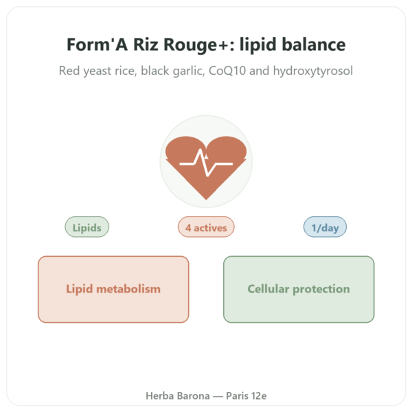 Form'A Red Yeast Rice+ Distriform' 60 Capsules – Black Garlic, Q10 & Olive presentation Paris Herba Barona